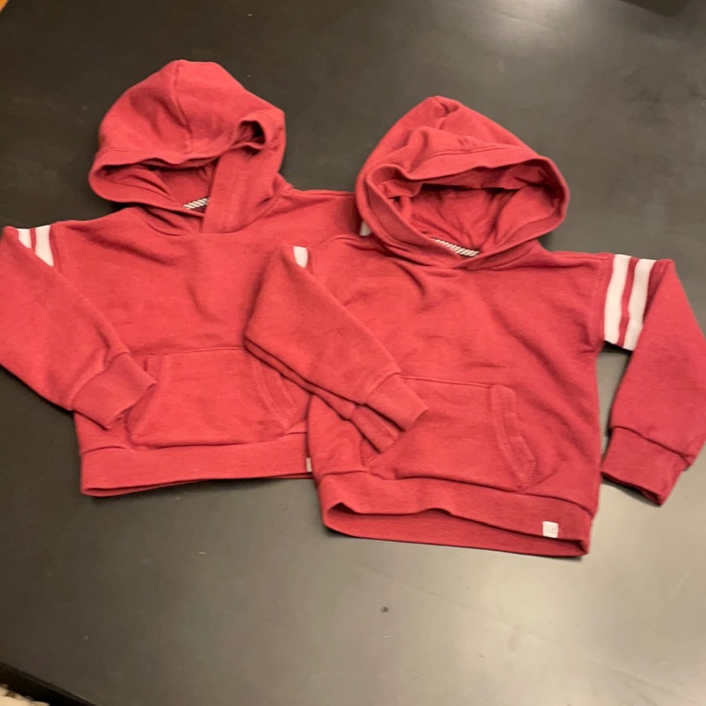 EUC set of TWO hoodies